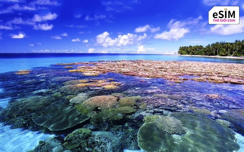 Làn nước trong vắt thấu đáy của Koh Larn biến hòn đảo này thành thiên đường trốn nóng lý tưởng sát vách Pattaya